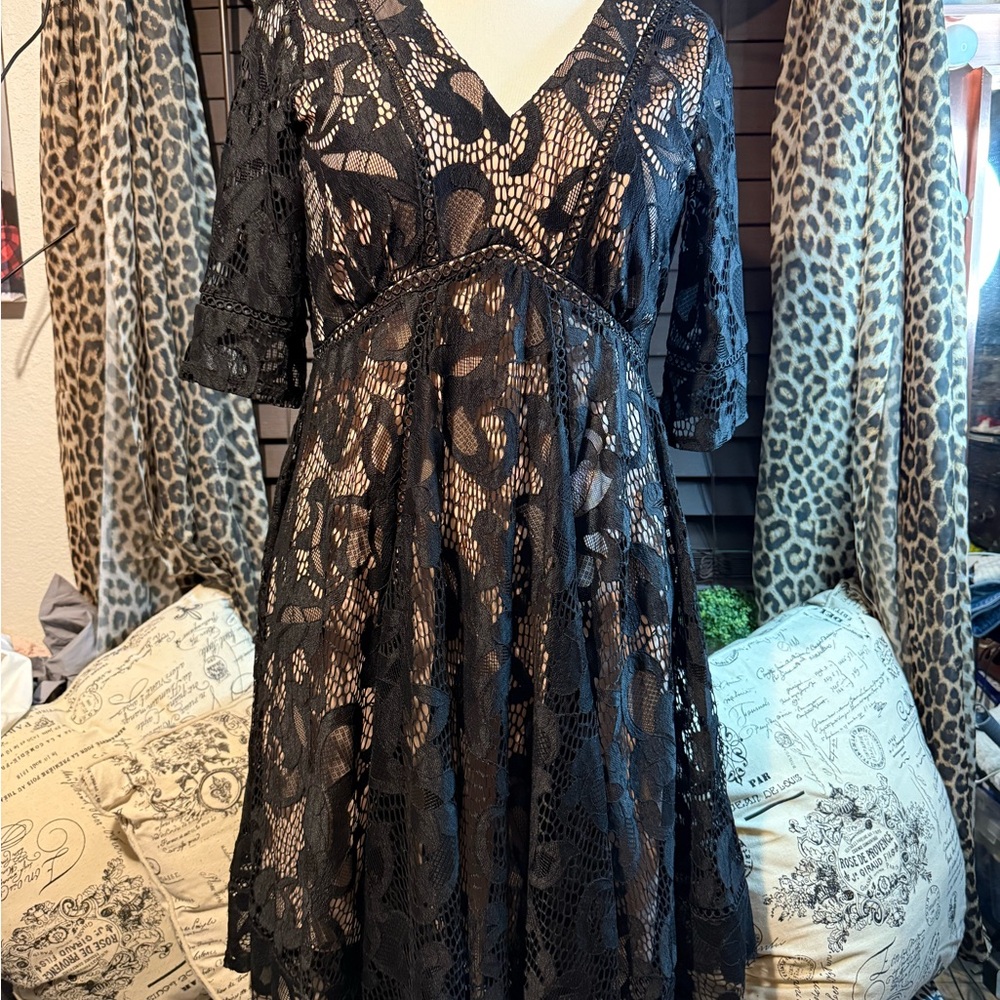 Taylor Black and Cream Dress